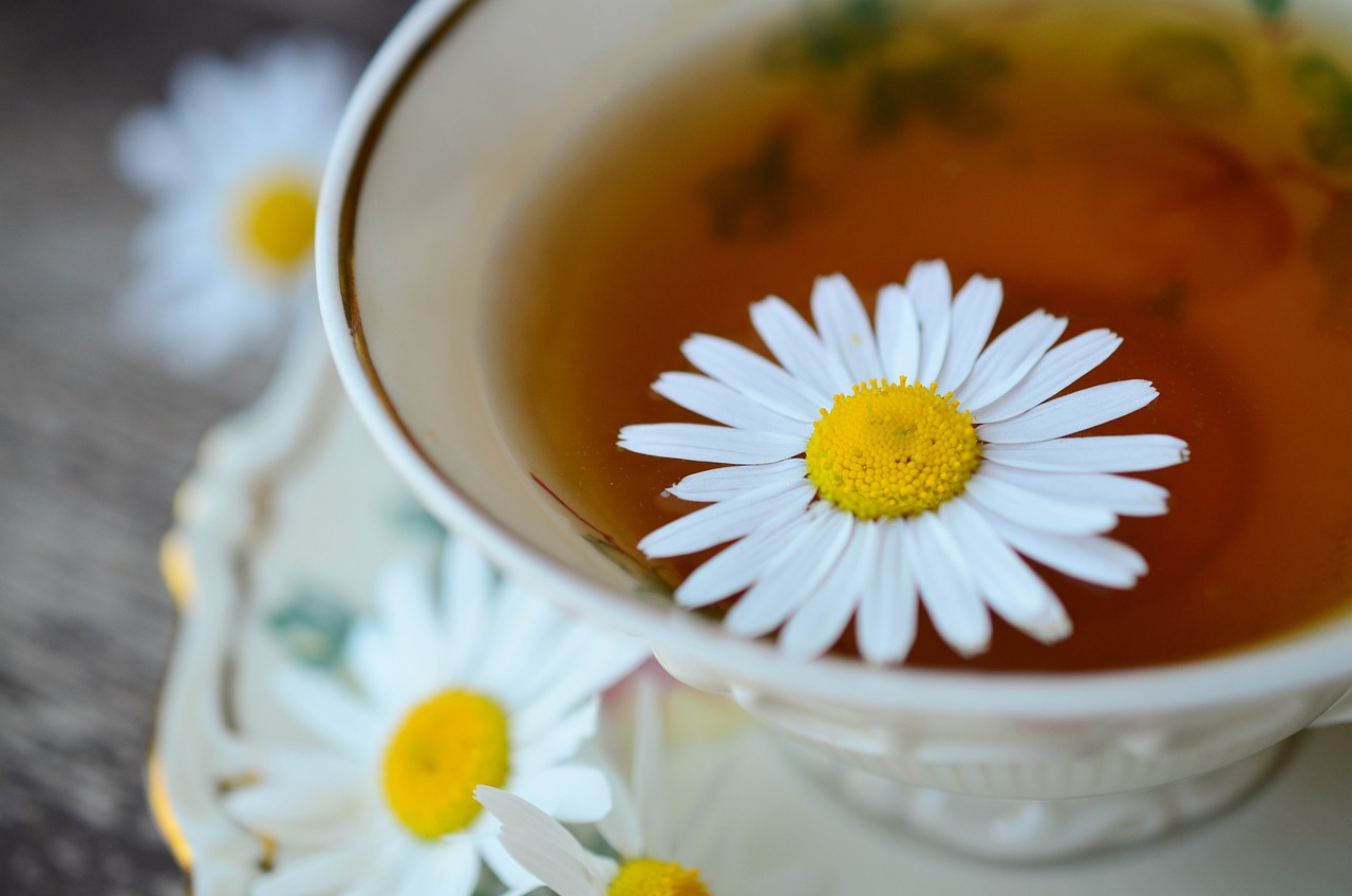 9 idées reçues concernant la naturopathie 