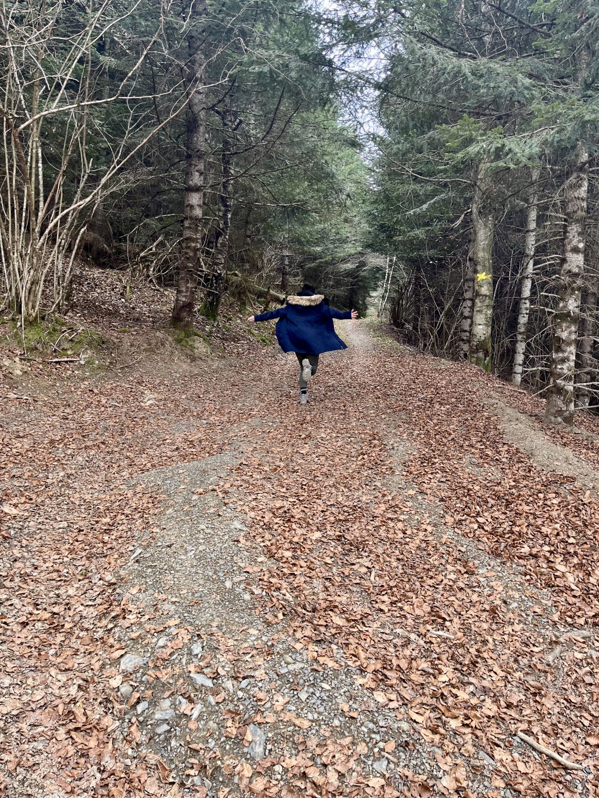 Une dernière randonnée pour finir l'année en beauté 🤩